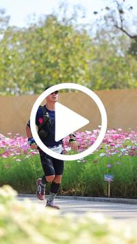 BIB:  <button type="button" onclick="openModal(27584758)" class="btn btn-primary btn-sm float-right" data-toggle="modal" data-target=".modal-high-quality">
                <i class="fa fa-download"></i> Download
                </button>